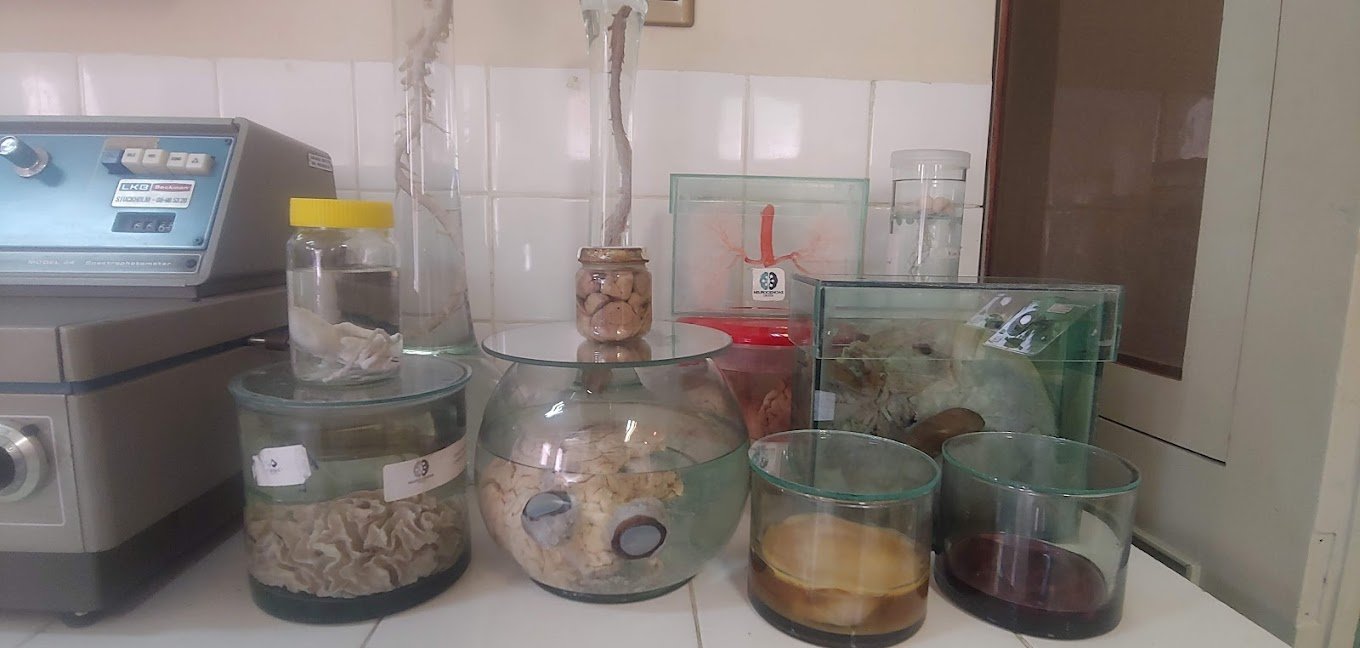 Frascos y preparados de laboratorio